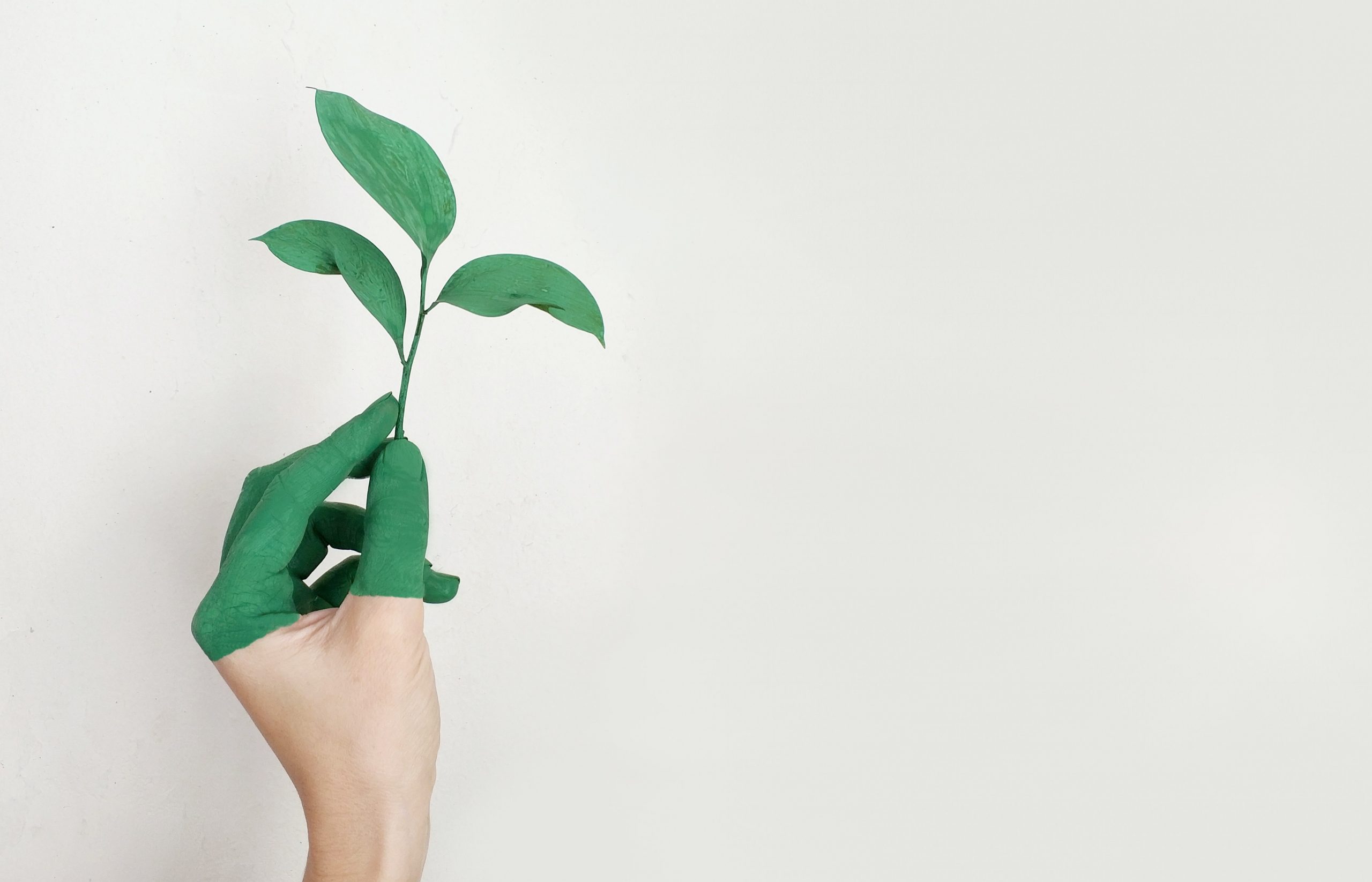 Carbon_Footprint