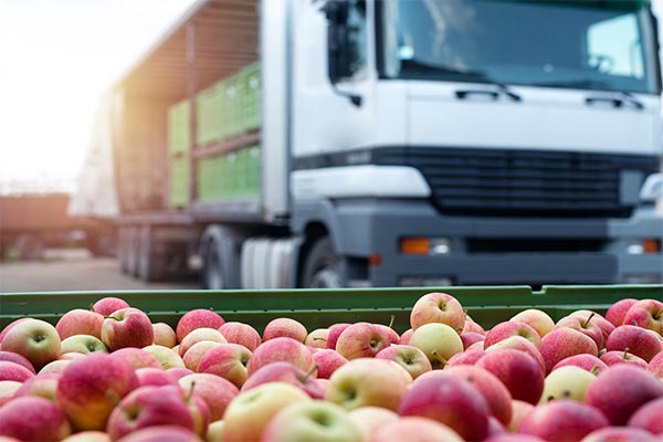Food & Drink eLearning