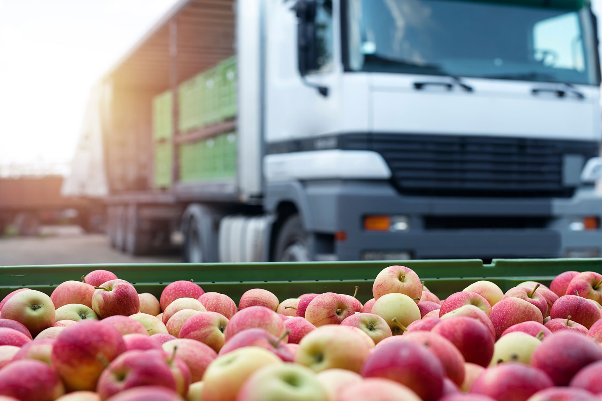 Top Tips for Drivers Delivering Chilled or Frozen Food